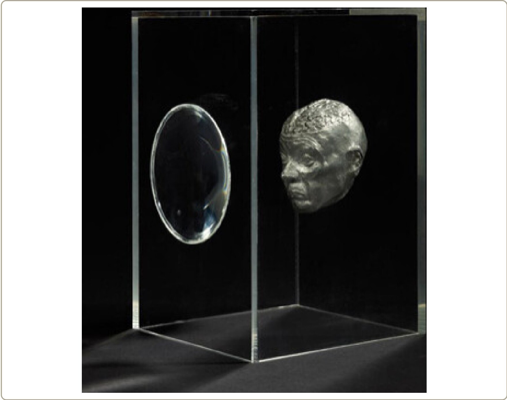 À la loupe — Mauro Corda